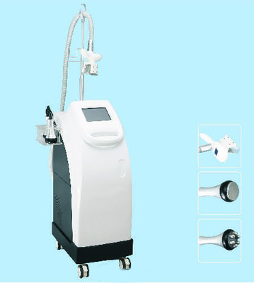 Het vet Bevroren Cryolipolysis-Materiaal van de Machineschoonheid met het 8 Duimscherm