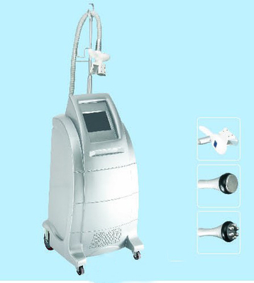 De Machine van Zeltiqcoolsculpting Cryolipolysis voor Rug, Taille Vette Verwijdering
