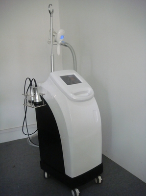 Niet chirurgische Cryolipolysis-Machine voor Lichaam het Vormen, Vette Burining